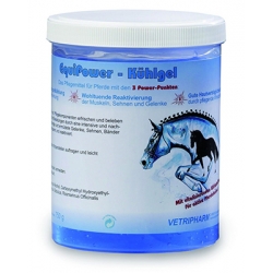 EQUIPOWER Kuhlgel żel chłodzący 750 g